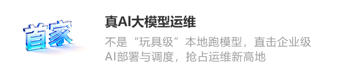真Al大模型运维